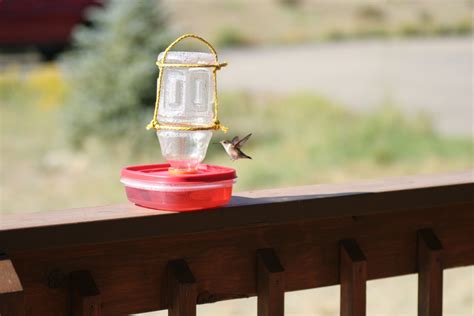 12 DIY Hummingbird Feeder Ideas