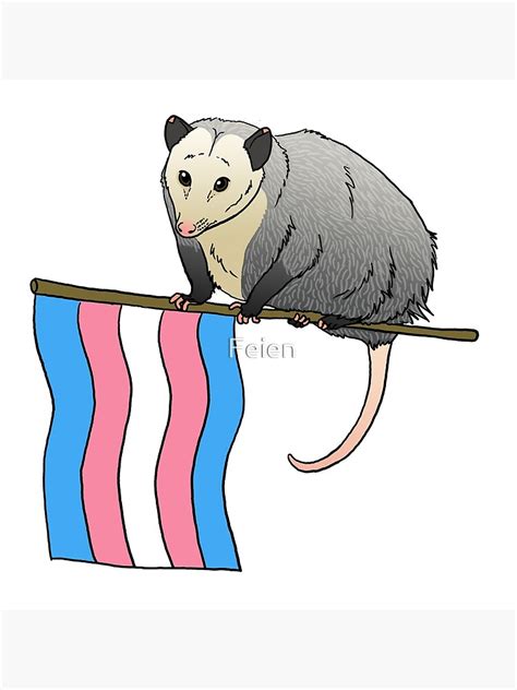 Trans Pride Opossum Poster For Sale By Feien Redbubble