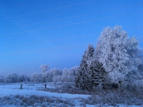 Hoarfrost - SkySpy Photos, Images, Video