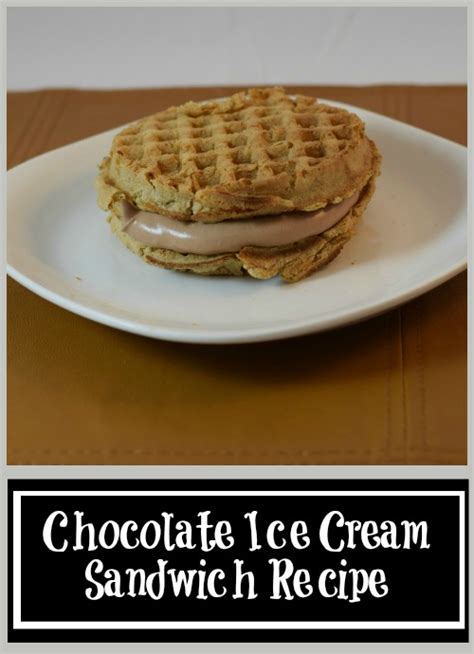 Chocolate Ice Cream Sandwich Recipe | Budget Earth