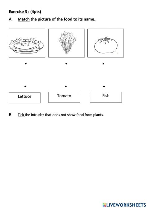 Benefits Of Plants Interactive Worksheet Live Worksheets