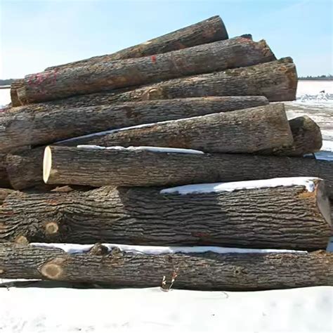 Oak Firewood Logs Kiln Dried Firewood Moisture 18 Hardwood Firewood For Heat Energy Wood