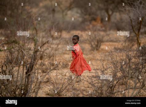 Children Gather Firewood At West Gate Conservancy In Northern Kenya