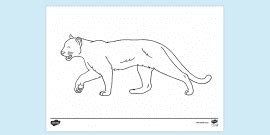 FREE Lion Stretching Colouring Sheet Colouring Sheets