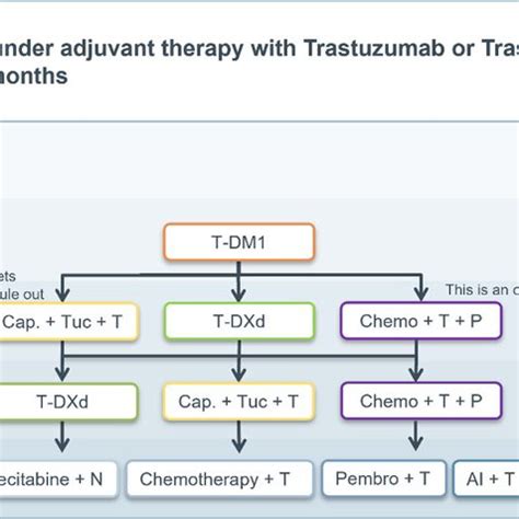 Scenario T Dm Trastuzumab Emtansine Cap Capecitabine Tuc