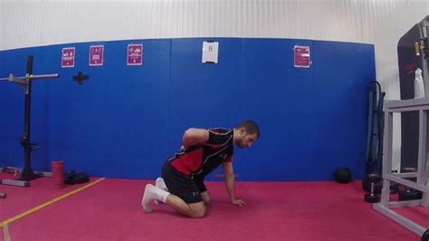 Quadruped T Spine Rotation With Shoulder Internal Rotation Youtube