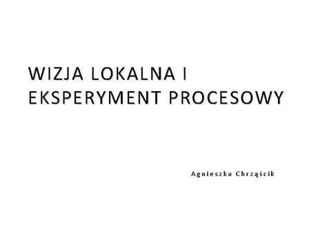 Wizja Lokalna I Eksperyment Procesowy Agnieszka Chrzcik Wieloznaczno