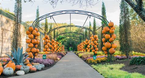 Cheekwood Harvest 2022 Cheekwood Estate And Gardens Nashville