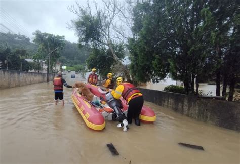 Rio Do Sul Enfrenta Sua Maior Enchente Em Anos Rede Web Tv