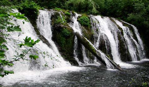 The Olympic Peninsula Waterfall Trail Official Tourism Site