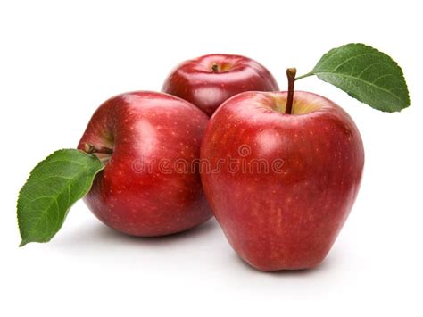 Ripe apple fruit stock photo. Image of fruit, isolated - 21344204