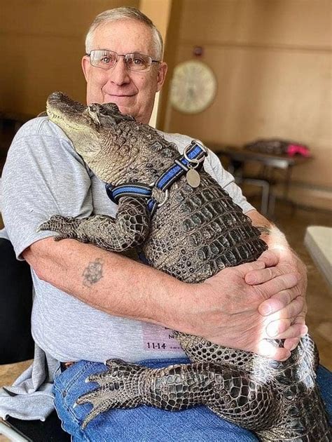 Meet Alligator Wally, The Emotional Support For His Owner Battling ...