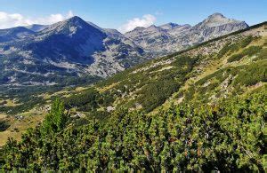 Pirin Mountains Hiking And Trekking Tour. Centre-based Walking And ...