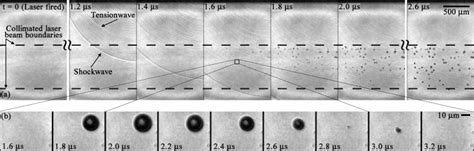 Laser Induced Nanobubble Cloud The Times In The Figure Are Relative To