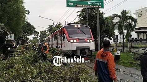 Hujan Disertai Angin Kencang Akibatkan Pohon Tumbang Di Sejumlah Titik