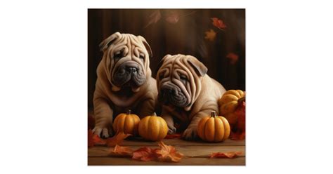 Shar Pei Puppy Autumn Delight Pumpkin Poster Zazzle