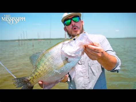 Fishing for World Record CRAPPIE on Sardis Lake (CATCH CLEAN COOK) | # ...