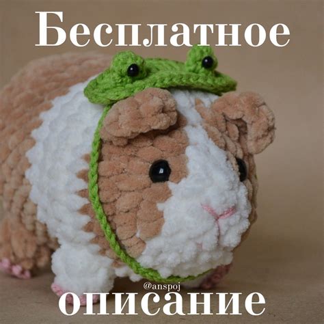 Шапочка лягушка для морской свинки крючком | Вязаные игрушки, Вязание ...