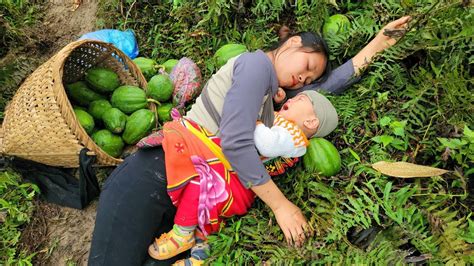 FULL VIDEO 30 Days Of Harvesting Papaya Bamboo Shoots Brown Sweet