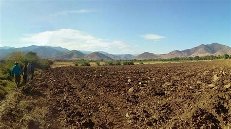 Se Pierden 28 Mil Hectáreas De Maíz Por Sequías En Oaxaca Nvi Noticias