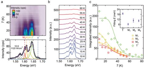 Temperature‐dependent Pl Spectra A Contour Plot Of The Download Scientific Diagram