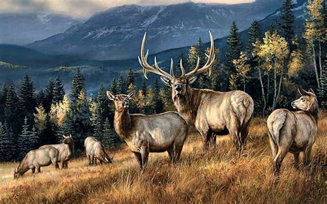 Wapiti Elk F5 Art Wapiti Elk Painting Wide Screen Wildlife