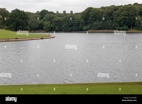 Waterloo Lake Roundhay Park Leeds Stock Photo Alamy