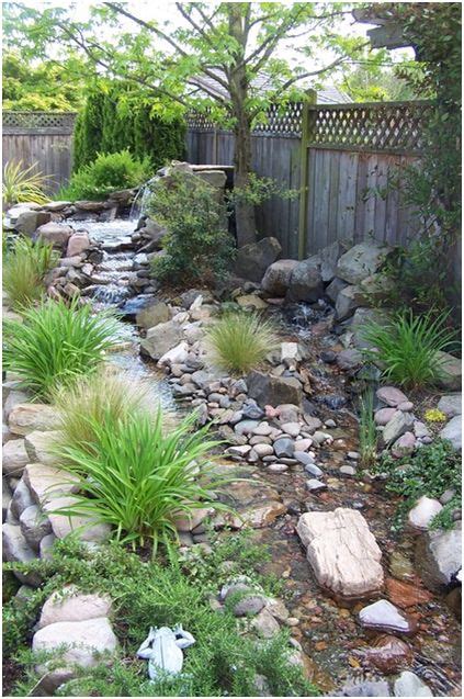 Small Backyard Stream with a Serene Waterfall