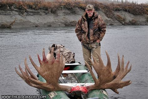 A Record Breaking Alaskan Bull Moose Harvesting A Giant In Alaska