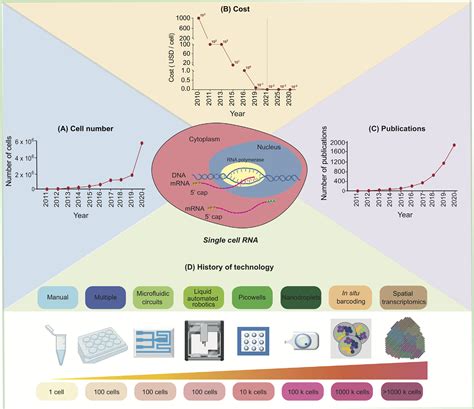 Single Cell Rna Sequencing Evolution Advancements