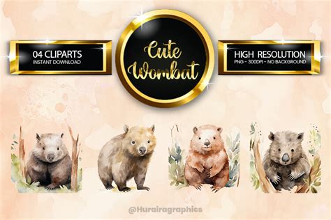 Wombat Clipart Bundle 04 Variations Graphic By Hurairagraphics · Creative Fabrica