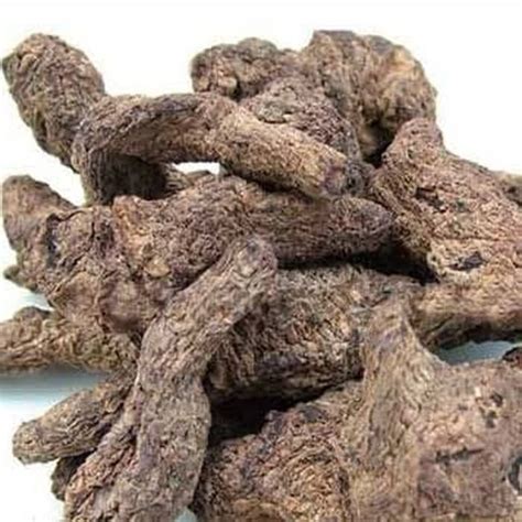 Jual G Gr Gram Sheng Di Huang Radix Rehmannia Root Shopee Indonesia