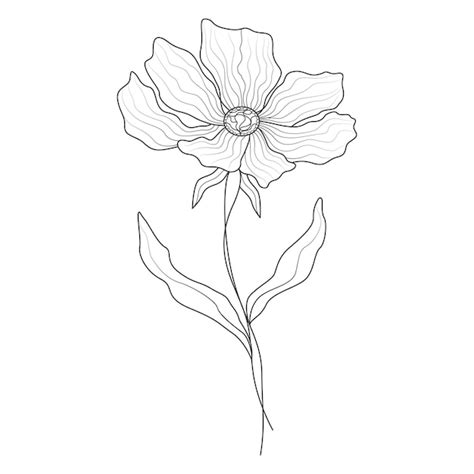 Illustration De Fleur De Dessin Au Trait Minimale Dans Le Style D Art