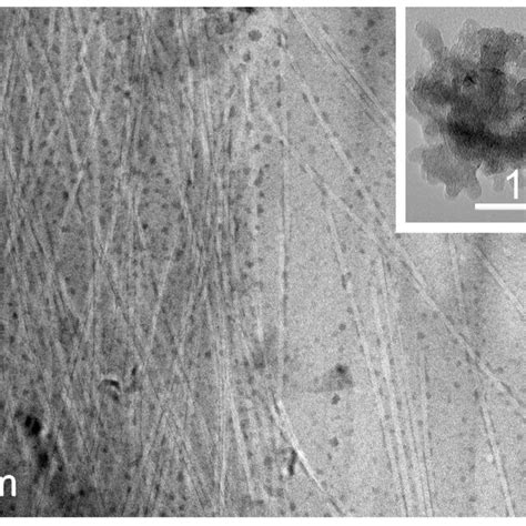 Tem Micrograph Of The Nanocomposite Supramolecular Hydrogel Formed By