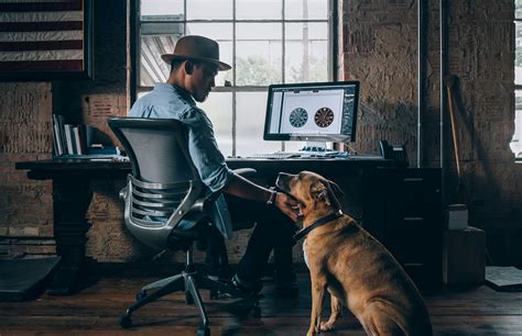 How To Start Dropshipping Pet Products And Hot Products To Sell In 2025