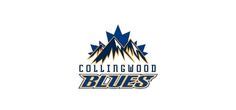 Collingwood Celebrity Hockey Classic Sponsors - The Celebrity Hockey ...