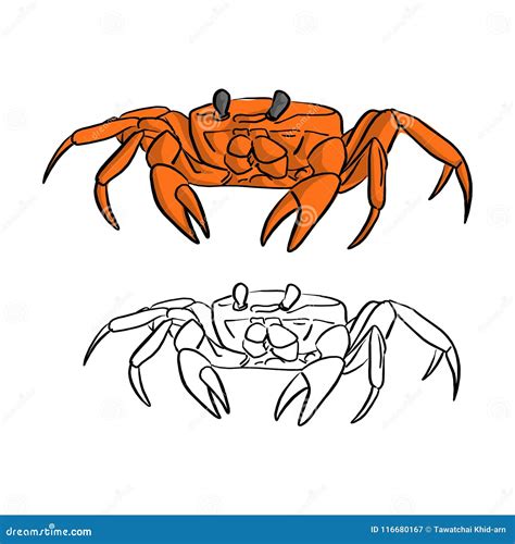 Orange Crab Vector Illustration Sketch Doodle Hand Drawn With Bl Stock