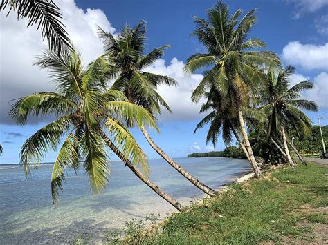 Kosrae Island 5 Pohnpei Island Pictures Federated States Of