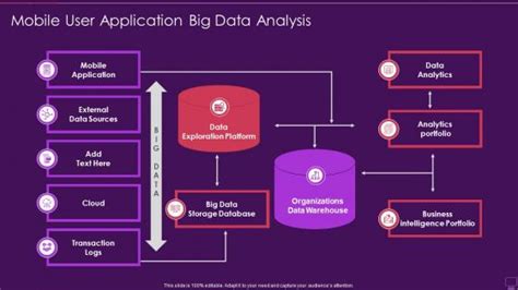 Application Data Analysis Powerpoint Presentation And Slides Ppt