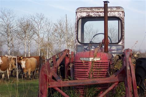 Fotos gratis tractor campo granja país ganado rojo vehículo