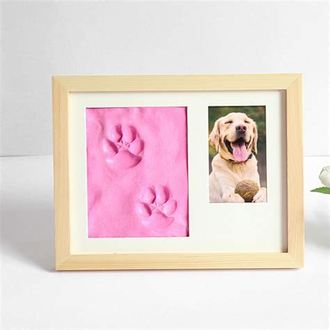 Paw Print Imprint Photo Keepsake Frame for Cats - Kitty Memorial