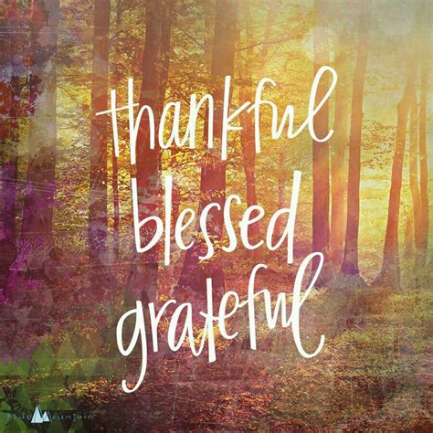 Pin By Catherine On Fall Stuff Blessed Quotes Thankful Quotes