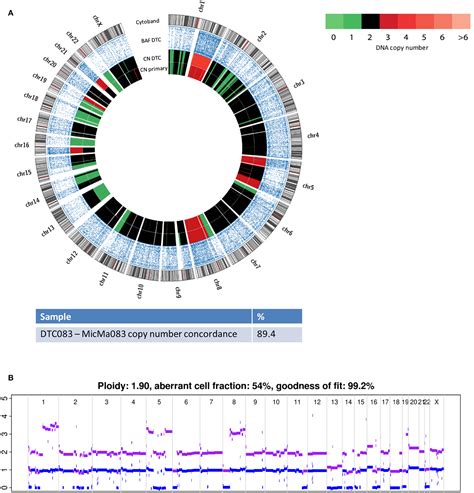 Frontiers Next Generation Sequencing Of Disseminated Tumor Cells