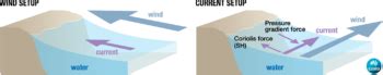 Causes Of Extreme Sea Levels Sea Level Waves And Coastal Extremes