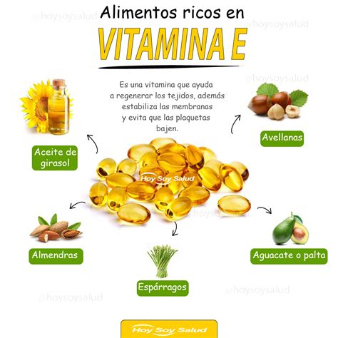 Alimentos Que Aporta La Vitamina E Lista Completa Revista Digital Hot