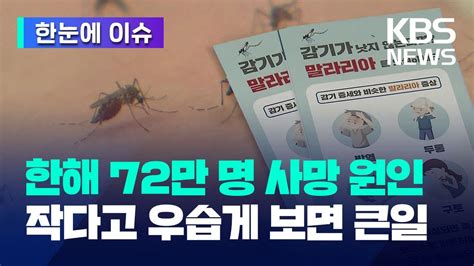 한해 72만 명 모기 때문에 사망작다고 우습게 봤다간 큰 코 다친다 한눈에 이슈 Kbs 20240623