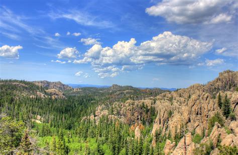 Forests In The Black Hills In Custer State Park South Dakota Image