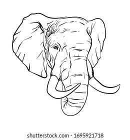 Elephant Side View Head Drawing