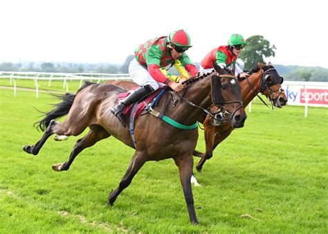 Wrexham Day In Partnership With Wrexham Lager Racing Bangor On Dee