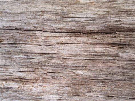 Dry Wood Texture • Free Nature Stock Photo